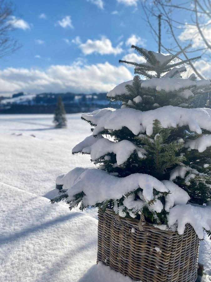 Bayersoien Alpen Wohlfuehlquartierヴィラ エクステリア 写真
